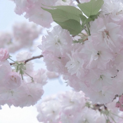 兽设家庭场景绘制福瑞交流群